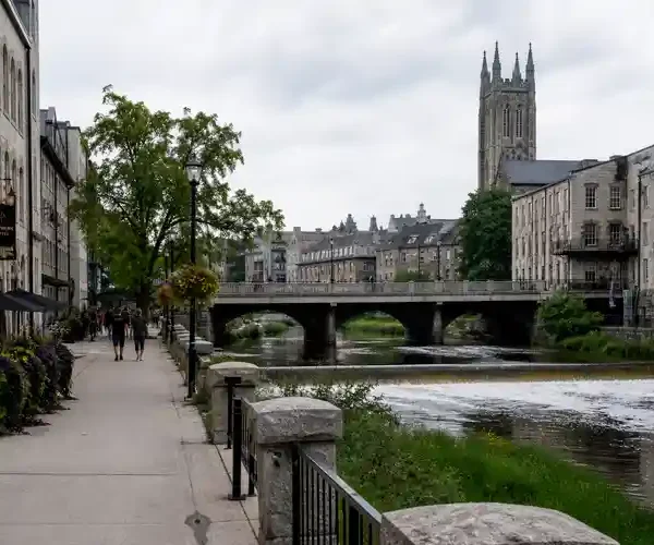 Trickett Guelph